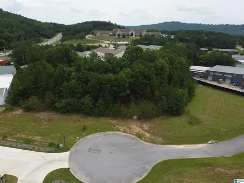 250 Applegate Trace Pelham AL 35124