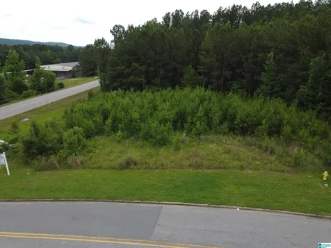 360 Applegate Parkway Pelham AL 35124