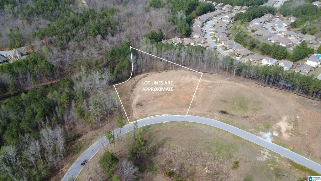 335 Foothills Place Chelsea AL 35043