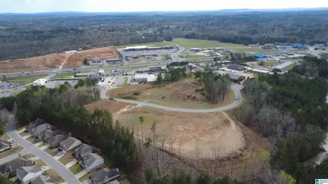 335 Foothills Place Chelsea AL 35043