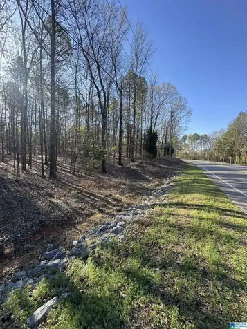 1229 George Roy Parkway Calera AL 35040