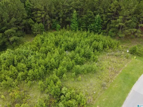 340 Applegate Parkway Pelham AL 35124