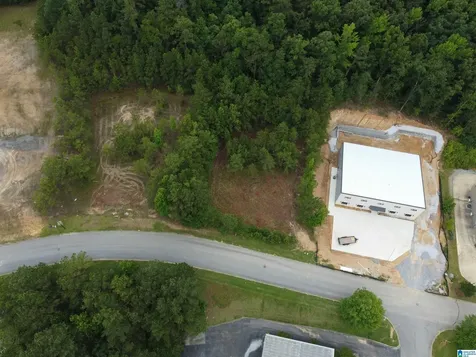 171 Applegate Lane Pelham AL 35124