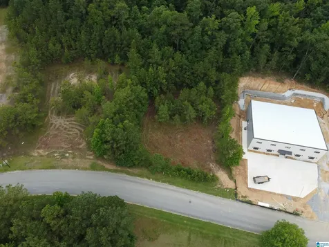 171 Applegate Lane Pelham AL 35124