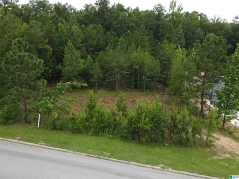 171 Applegate Lane Pelham AL 35124