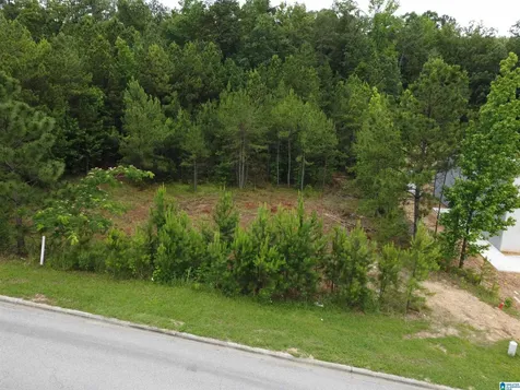 171 Applegate Lane Pelham AL 35124