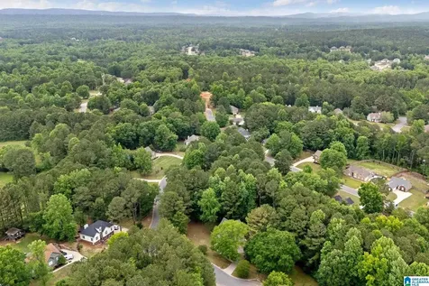 201 Shelby Forest Circle Chelsea AL 35043