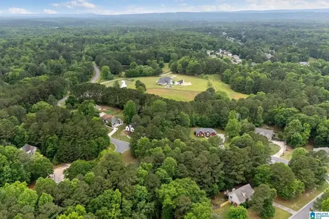 201 Shelby Forest Circle Chelsea AL 35043