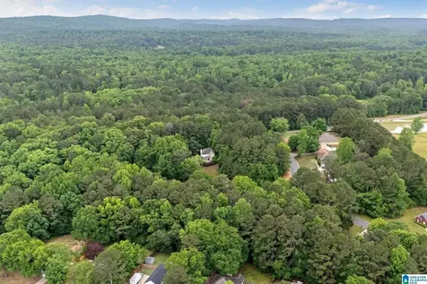 201 Shelby Forest Circle Chelsea AL 35043