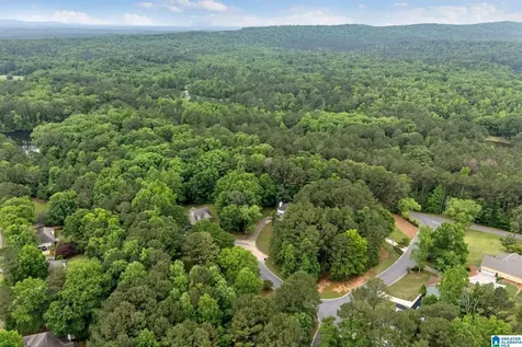 201 Shelby Forest Circle Chelsea AL 35043