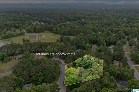 201 Shelby Forest Circle Chelsea AL 35043
