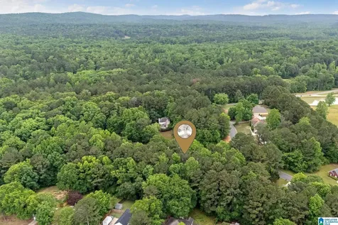 201 Shelby Forest Circle Chelsea AL 35043