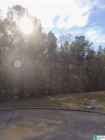 7703 Deer Trail Trussville AL 35173