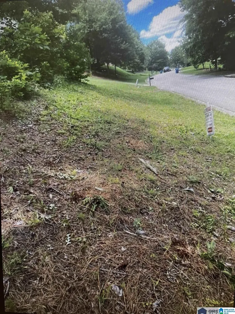 1202 Woodlands Way Hoover AL 35080