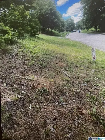1202 Woodlands Way Hoover AL 35080