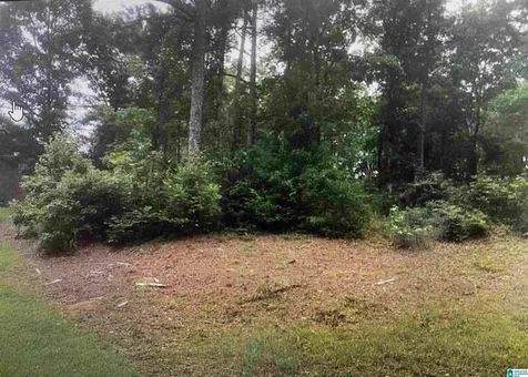 1202 Woodlands Way Hoover AL 35080
