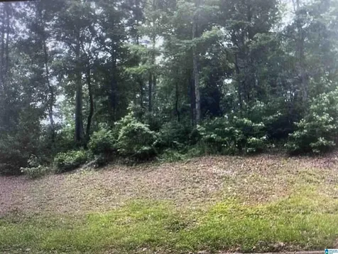 1202 Woodlands Way Hoover AL 35080