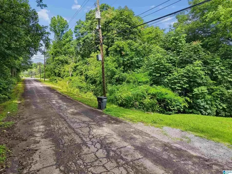 1213 Mill Lane Irondale AL 35210