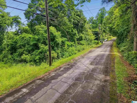 1213 Mill Lane Irondale AL 35210
