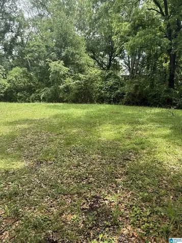 425 12th Avenue Midfield AL 35228