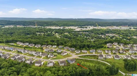 1061 Camellia Ridge Drive Pelham AL 35124