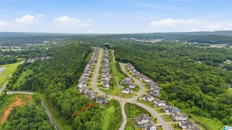 1061 Camellia Ridge Drive Pelham AL 35124