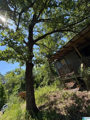 209 Garber Street Bessemer AL 35022