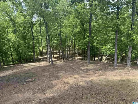 4460 Old Cahaba Parkway Helena AL 35080