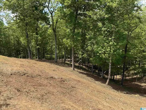 4460 Old Cahaba Parkway Helena AL 35080