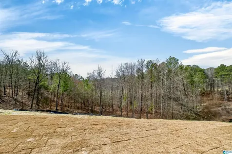 112 Calvert Circle Hoover AL 35244
