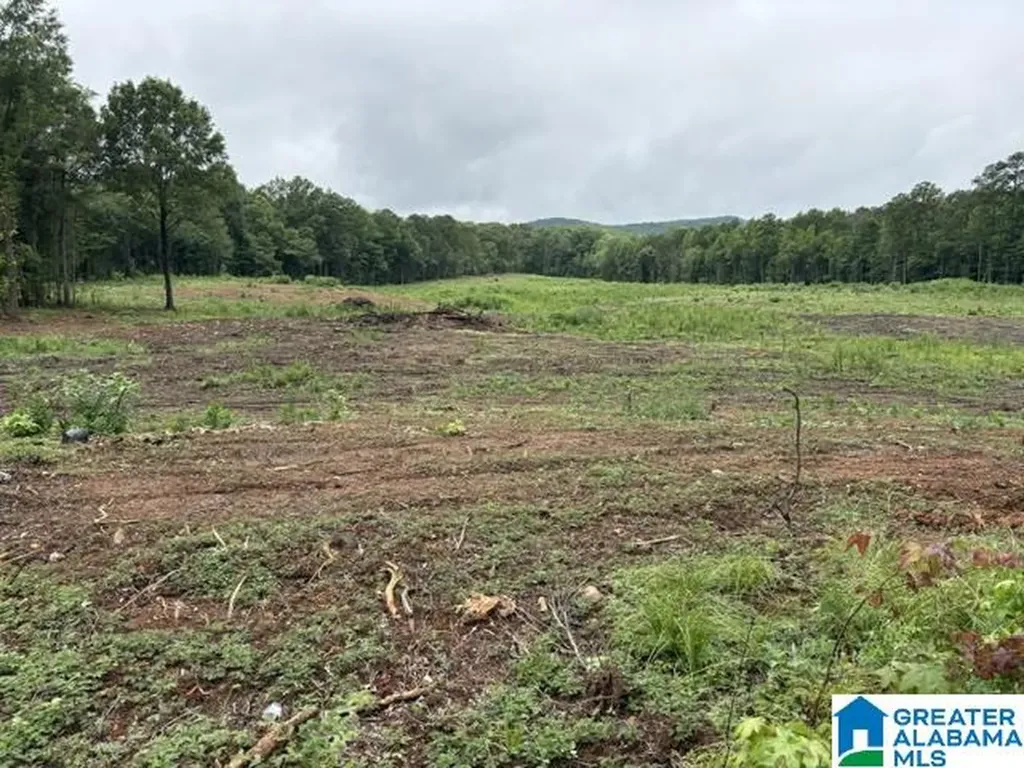 13 Acres Highway 280 Sylacauga AL 35151