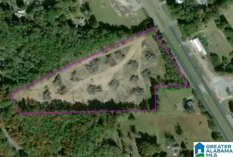 13 Acres Highway 280 Sylacauga AL 35151