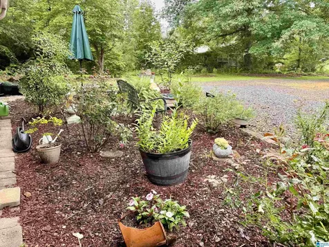 378 Low Gap Lane Odenville AL 35120