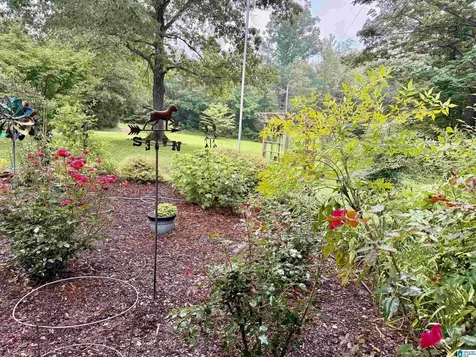378 Low Gap Lane Odenville AL 35120