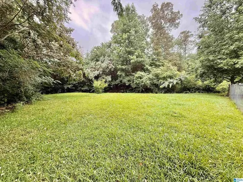 378 Low Gap Lane Odenville AL 35120