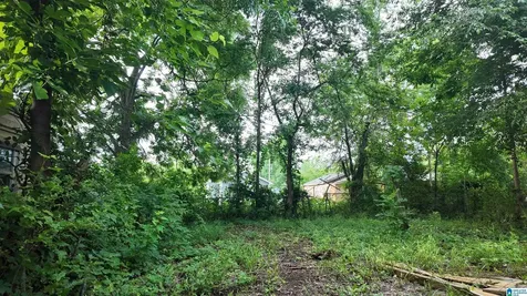 2208 Mayfield Avenue SW Birmingham AL 35211