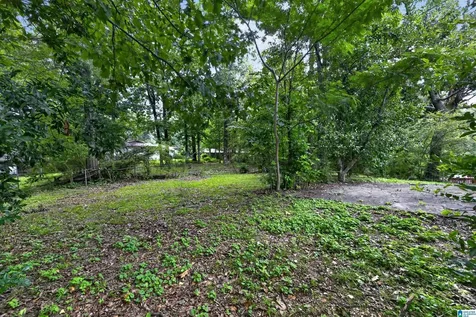 253 Glynn Drive Birmingham AL 35215