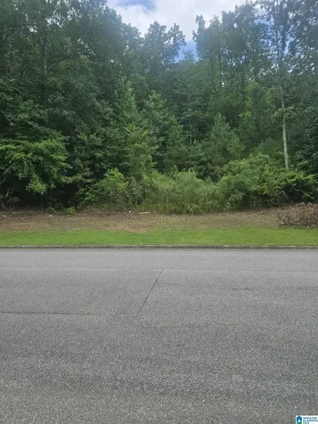 244 Normandy Lane Chelsea AL 35043