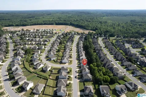 1061 Aronimink Drive Calera AL 35040