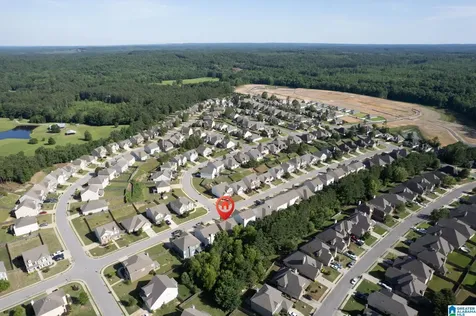 1061 Aronimink Drive Calera AL 35040