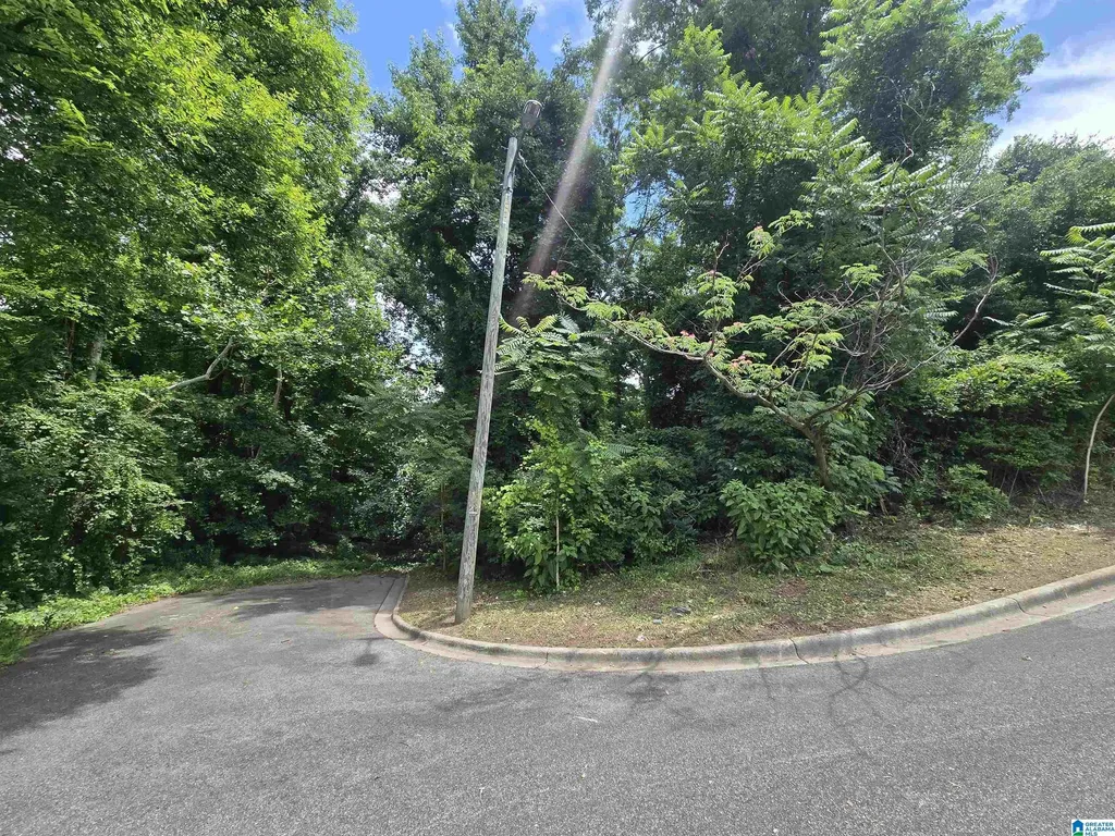2507 Miles Street Homewood AL 35209