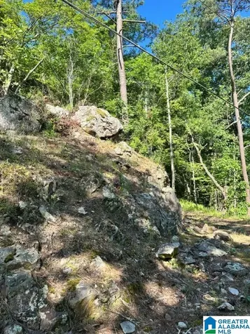 130 Mountain Crest Road Chelsea AL 35043