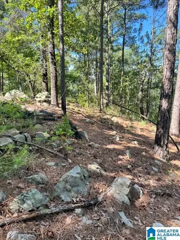 130 Mountain Crest Road Chelsea AL 35043