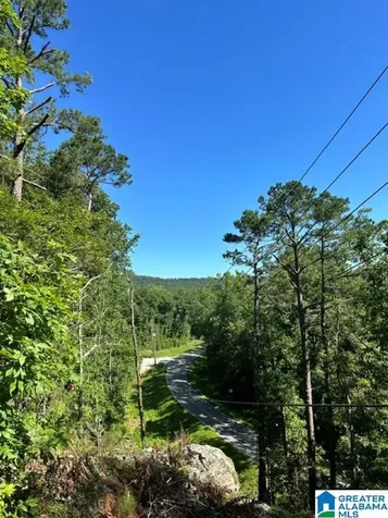 130 Mountain Crest Road Chelsea AL 35043