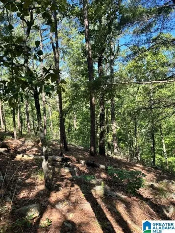130 Mountain Crest Road Chelsea AL 35043