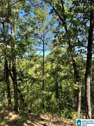 130 Mountain Crest Road Chelsea AL 35043