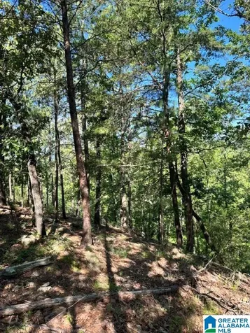 130 Mountain Crest Road Chelsea AL 35043