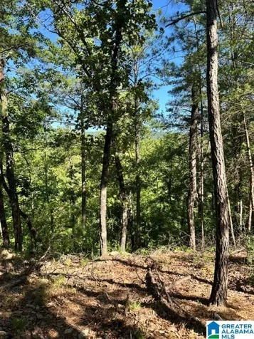 130 Mountain Crest Road Chelsea AL 35043