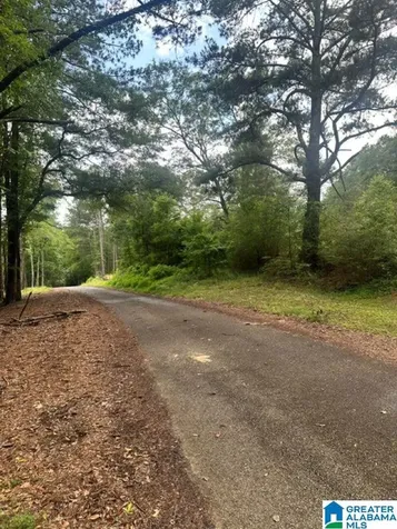 130 Mountain Crest Road Chelsea AL 35043