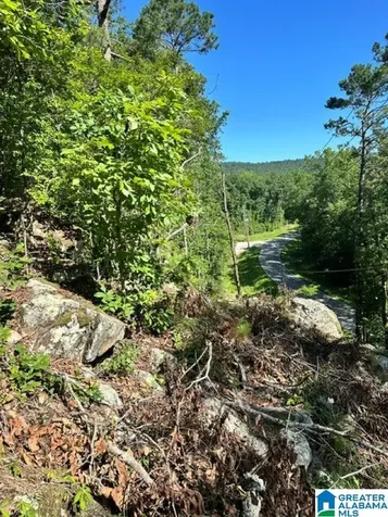 130 Mountain Crest Road Chelsea AL 35043